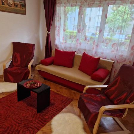 Petuniei Apartment Braszów Zewnętrze zdjęcie