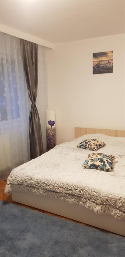 Petuniei Apartment Braszów Zewnętrze zdjęcie