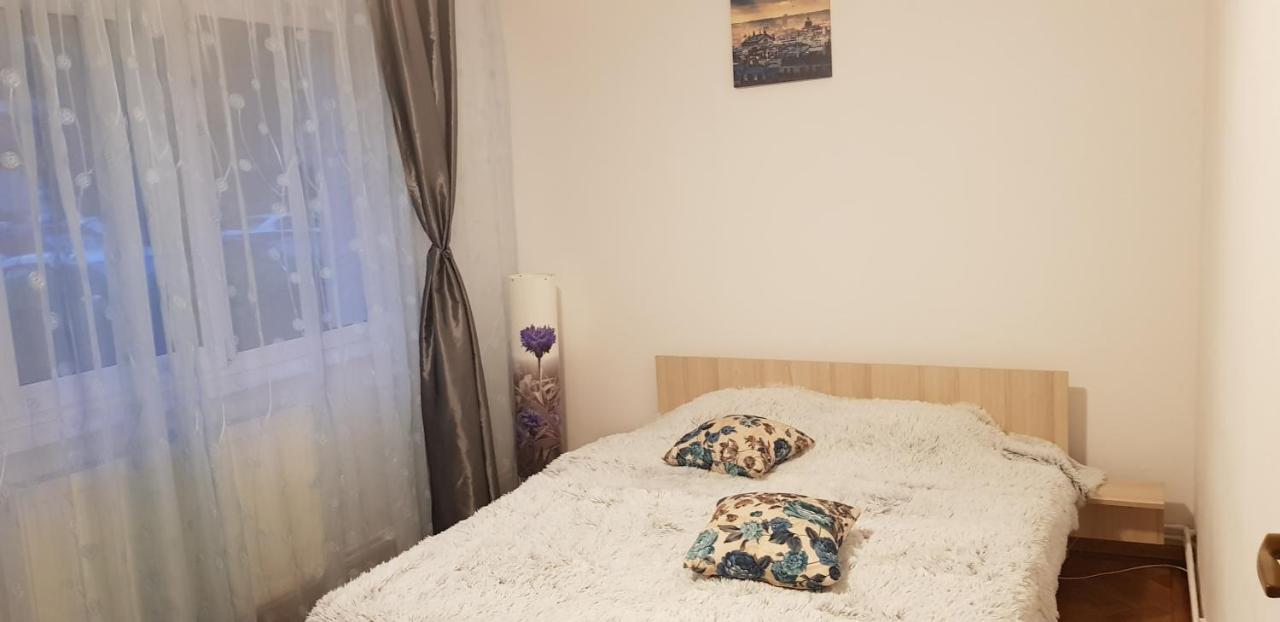 Petuniei Apartment Braszów Zewnętrze zdjęcie