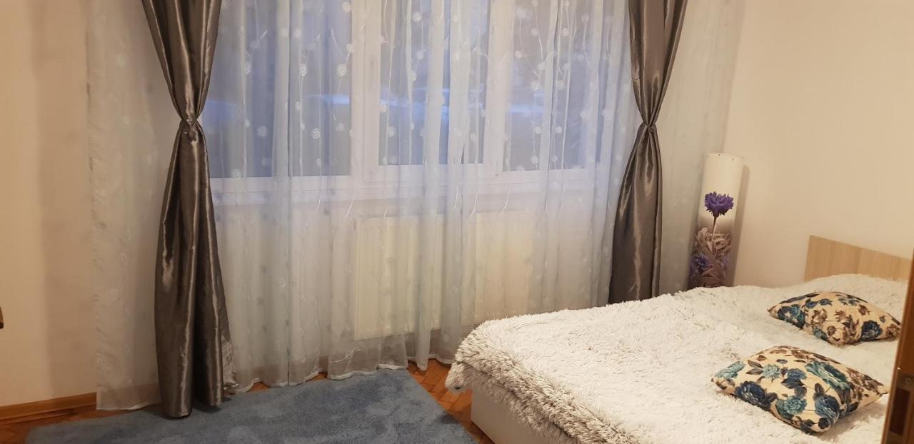 Petuniei Apartment Braszów Zewnętrze zdjęcie