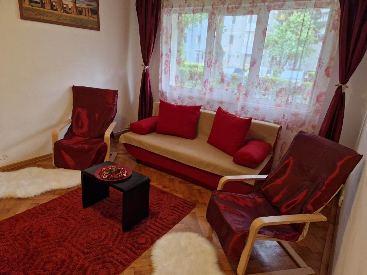 Petuniei Apartment Braszów Zewnętrze zdjęcie