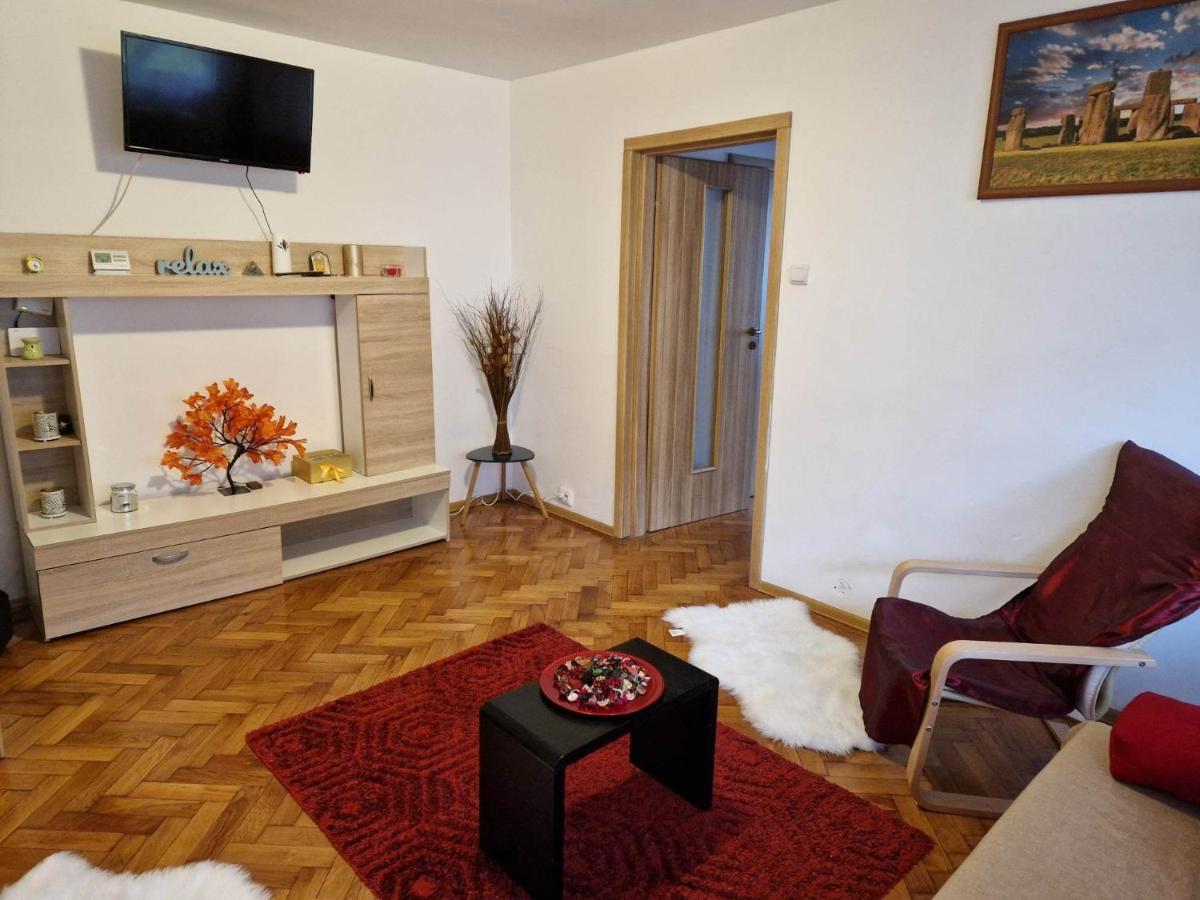 Petuniei Apartment Braszów Zewnętrze zdjęcie