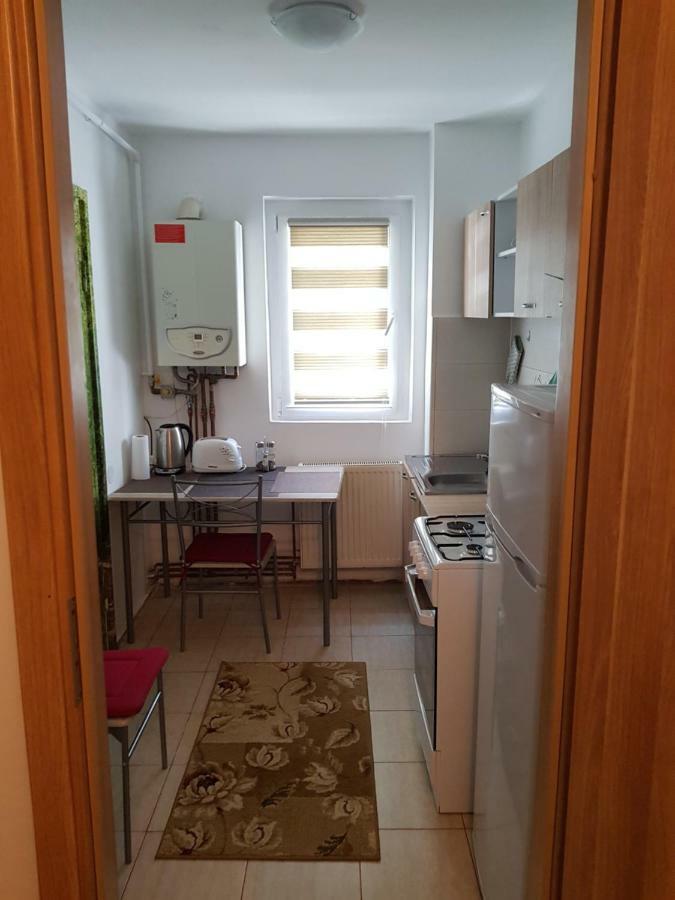 Petuniei Apartment Braszów Zewnętrze zdjęcie