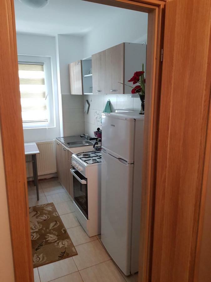 Petuniei Apartment Braszów Zewnętrze zdjęcie
