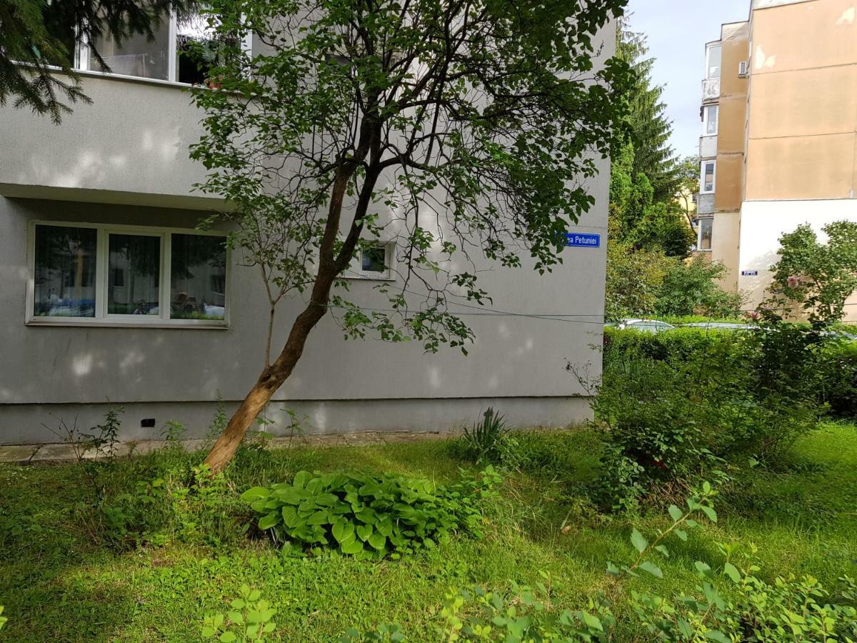 Petuniei Apartment Braszów Zewnętrze zdjęcie